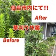 【仙台市内・草刈作業!!】