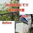 【仙台市内・草刈り剪定作業!!】