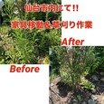 【仙台市内・家具移動＆草刈作業!!】