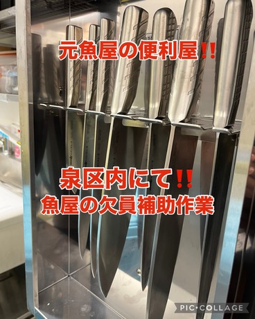 S__64995330.jpg
