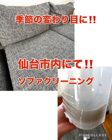 S__65863683.jpg