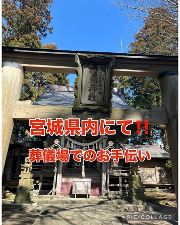 S__65929218.jpg