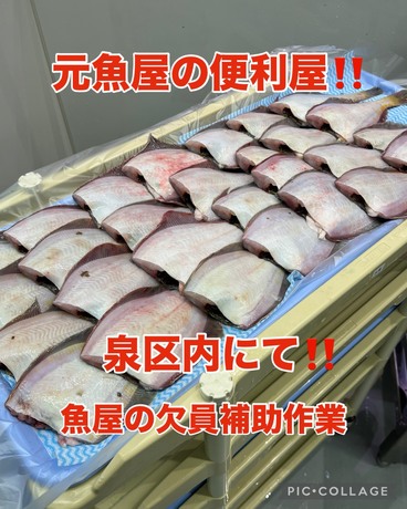 S__68304899.jpg