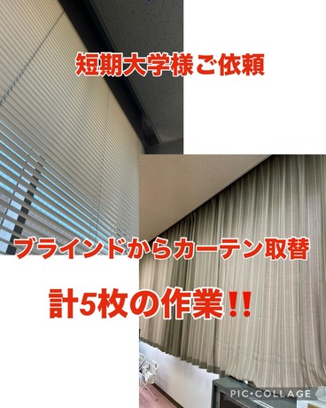 S__74571788.jpg