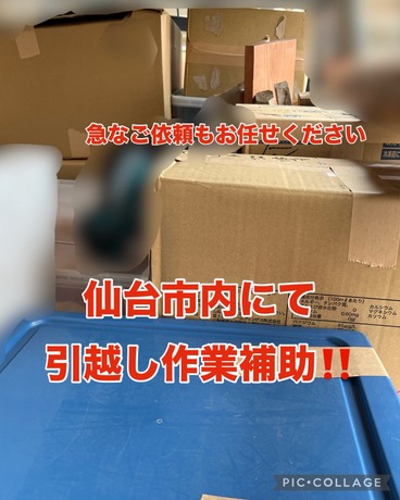 S__75186180.jpg