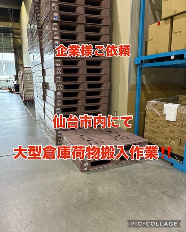 S__76578819.jpg