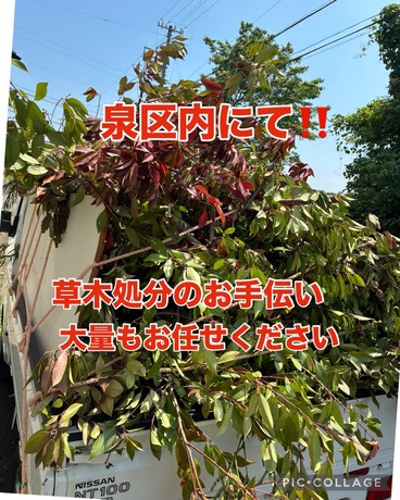 S__77635587.jpg