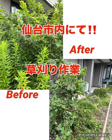 S__78839818.jpg