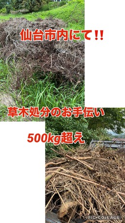 S__79437846.jpg