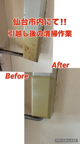 S__79691781.jpg