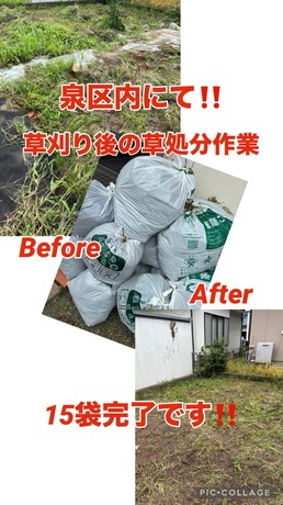 S__79765506.jpg