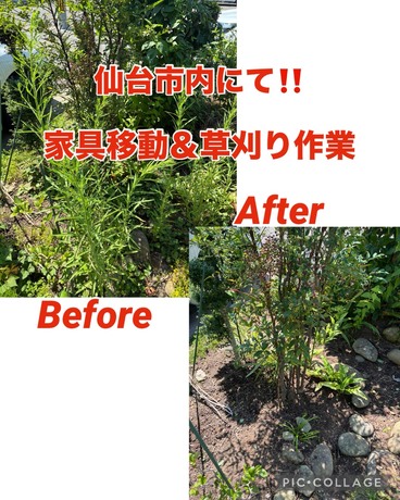 S__80183298.jpg