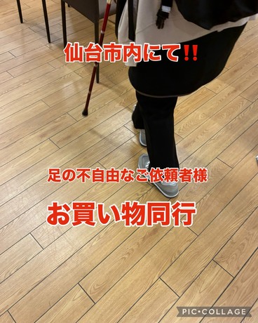 S__81641478.jpg