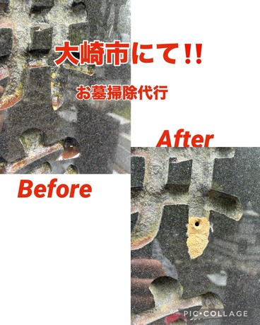 S__81829901.jpg