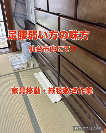 S__83181606.jpg