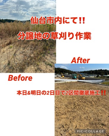 S__83853315.jpg
